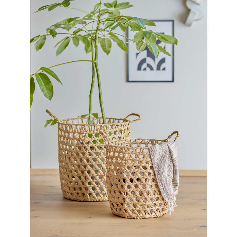 Bloomingville Rachel Mand, Naturaleza, Jacinto de agua