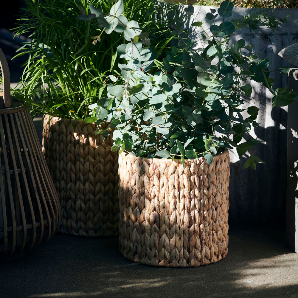 House Doctor Manden, Roun, Natuur