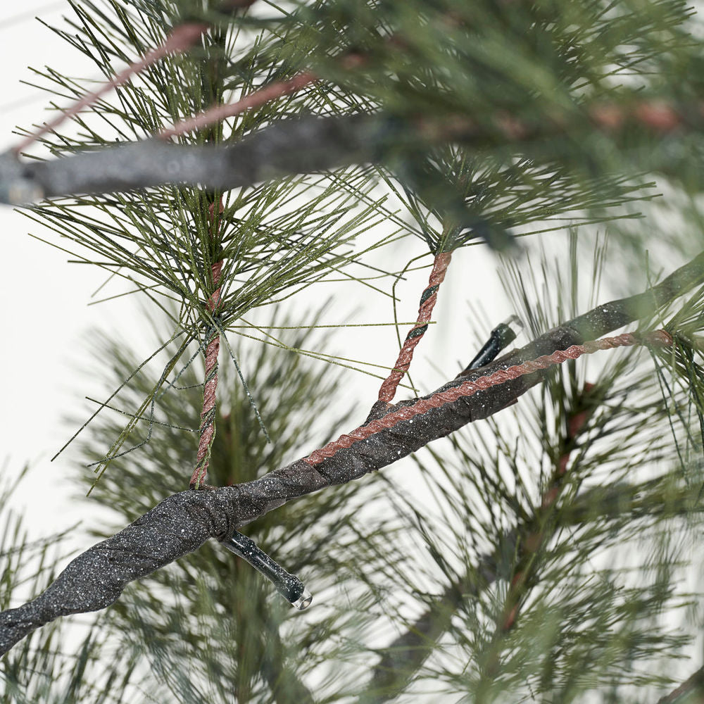 Hausarzt Weihnachts baum mit LED-Leuchten, Peuce, Natur