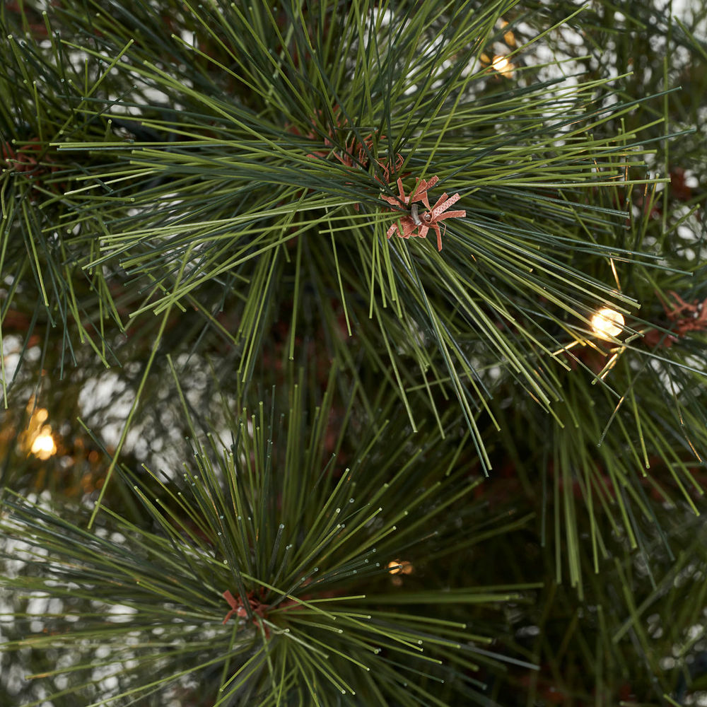 Hausarzt Weihnachts baum mit LED-Leuchten, Pinus, Natur